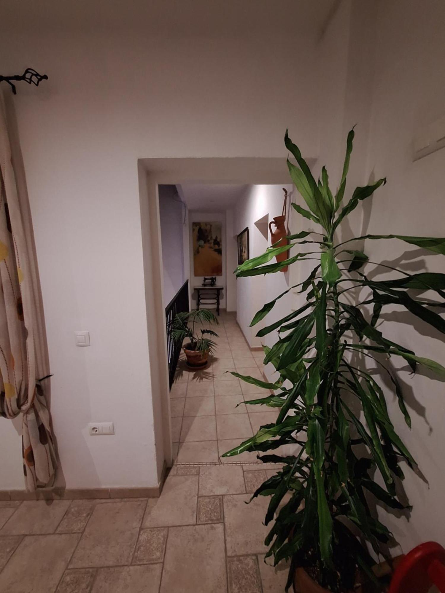 Hostal Fenix Херес де ла Фронтера Екстериор снимка